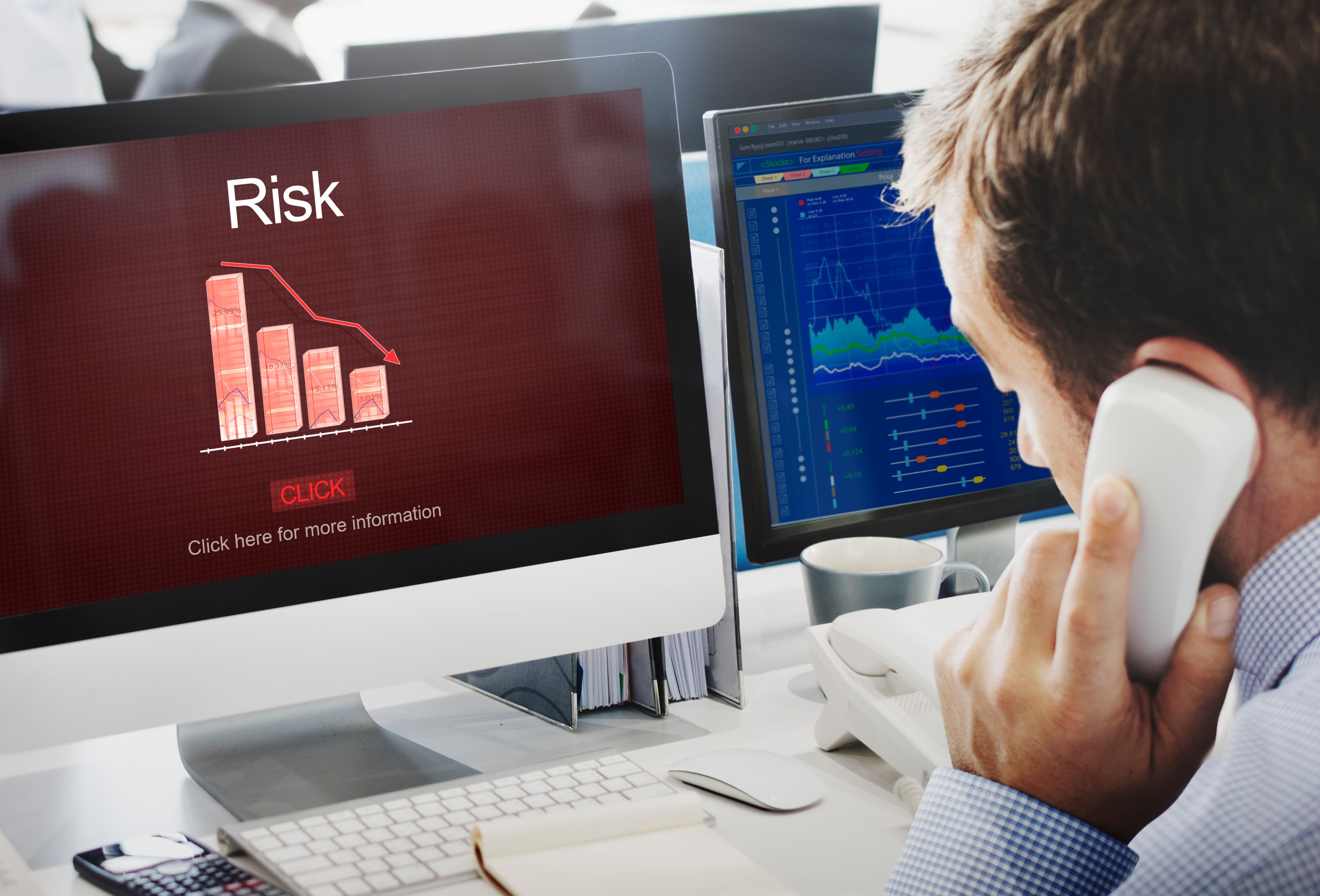 Risk Advisory Services